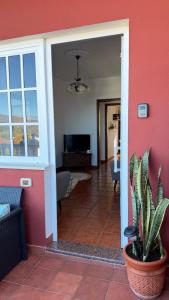 a living room with a red wall and a potted plant at La Viñita in El Paso