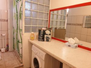 a washing machine in a bathroom with a mirror at Appartement les Alizés in Les Abymes