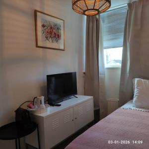 een slaapkamer met een bed en een tv op een dressoir bij 't Wapen van Middelie in Middelie