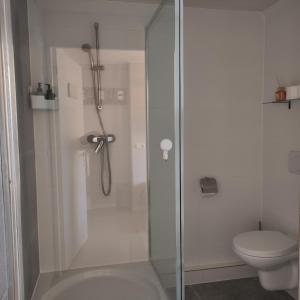 een badkamer met douche en toilet bij 't Wapen van Middelie in Middelie +30 foto's