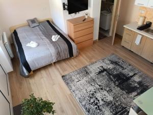 a bedroom with a bed and a television and a rug at Apartmán Eliška v Karolince in Karolinka
