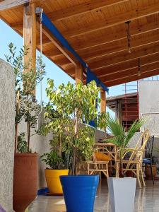 een terras met potplanten en een tafel en stoelen bij À mi-chemin in Larache