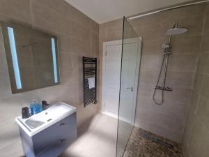 a bathroom with a shower and a sink and a mirror at The Lake House, cong in Cong +42 photos