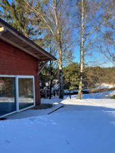 un cortile coperto di neve accanto a una casa di W lesie nad rzeką a Rolbik
