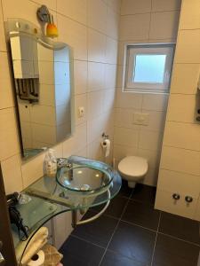 a bathroom with a glass sink and a toilet at Apartman Lapaž 14 in Toplice Sveti Martin +4 photos