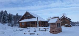 Farmhouse Rosehip Flower Romania Brasov om vinteren