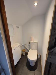 een kleine badkamer met toilet en wastafel bij Chambre Cosy indépendante sans cuisine in Mont-Louis