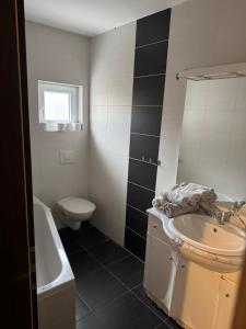 a bathroom with a sink and a toilet at Soba Lapaž in Toplice Sveti Martin
