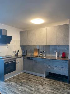 a large kitchen with stainless steel appliances and wooden floors at Lakeview Apartment & Spa in Belosavci