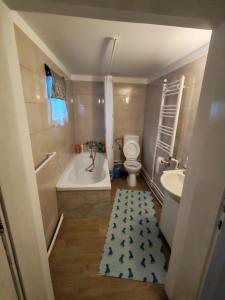 a bathroom with a tub and a toilet and a sink at Casa Bucovina Dorna Candrenilor in Ascuţitele +20 photos
