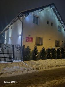 a building with christmas trees in front of it at Casa Arabela in Vişeu de Sus