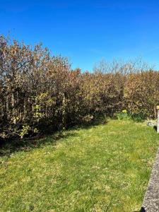 Jardí fora de Clingera studio rooms
