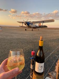 Drinks på Skoorsteenberg Farm Camping & Accommodation + 27 billeder