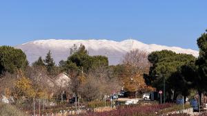 In der Ferne ein schneebedeckter Berg mit einer Straße in der Unterkunft Gal Ba'Har גל בהר in El-Rom