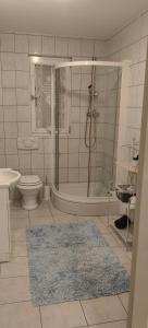 a bathroom with a shower and a toilet and a sink at Apartments Villa Granda Tolic in Biograd na Moru +52 photos