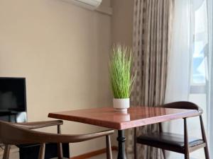 een houten tafel met daarop een potplant bij St Helena Bay Hotel in St Helena Bay