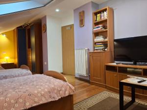 Et tv og/eller underholdning på Apartma Jasen