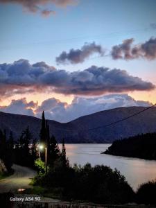 Naturlandskabet i nærheden af lejligheden