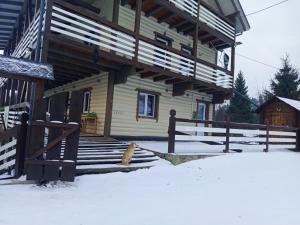 a dog sitting in the snow in front of a house at Готель Еко-Міївка in Krasnik +63 photos