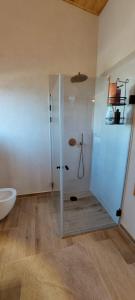 a shower with a glass door in a bathroom at שיר ערש in Giv'at Yo'av +21 photos