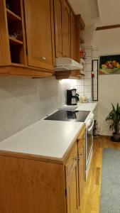 a kitchen with wooden cabinets and a white counter top at Cosig house in Nygård +8 photos
