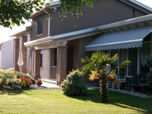 a house with a palm tree in the yard at Relax garden villa 1ora da venezia VILLABRUNA in Correzzola
