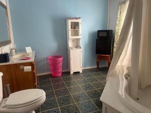 a bathroom with a toilet and a television in it at serenity hill in Brownsville +14 photos