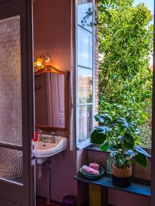 een badkamer met een wastafel, een spiegel en een plant bij Les Chambres des Dames in Rieux-Minervois