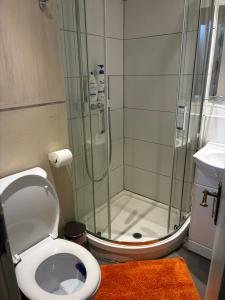 a bathroom with a shower and a toilet and a sink at The Cozy Nook in Hanwell