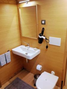 a bathroom with a sink and a toilet and a mirror at Glamping Podere Poggiagrilli in San Gervasio +20 photos