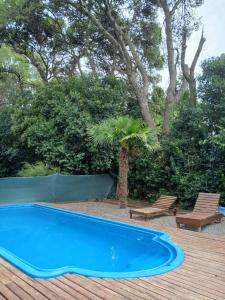 a blue swimming pool on a wooden deck with a palm tree at Cabañas Los Cardales in Chascomús