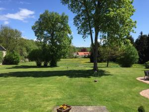 a green yard with a tree and a bench at Jagdschloss Walkenried - Hotel Residenz in Walkenried +18 photos