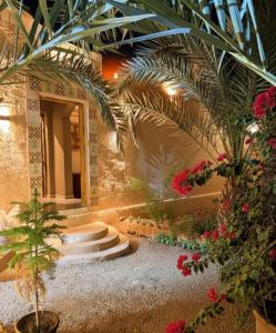 ein Zimmer mit Pflanzen und Blumen in der Unterkunft Shasha Siwa Ecolodge Retreat in Siwa