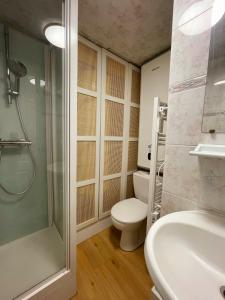a bathroom with a toilet and a shower and a sink at Chalet Cosy à Bolquère in Bolquere Pyrenees 2000 +30 photos