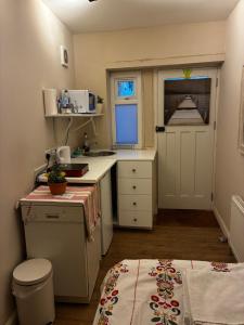 a small kitchen with a sink and a counter at The Cozy Nook in Hanwell