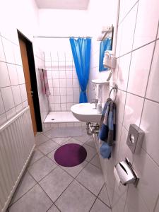 een kleine badkamer met een wastafel en een douche bij Hotel-Pension zum Hirsch in Hattersheim