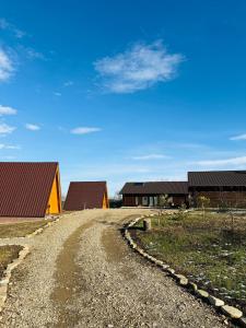 a dirt road in front of some buildings at Glamping La Octav in Tîrpeşti