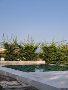 a pool of water in the middle of a patio at Casa da Figueira in Guilhufe