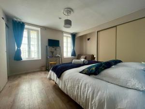 een slaapkamer met een groot bed met blauwe gordijnen bij Le colibri bleu in Argeliers