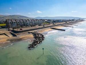 a group of birds standing in the water on a beach at Y Mor Cosy Apartment in Tywyn