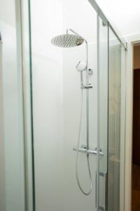a shower with a shower head in a bathroom at Maraini Deluxe Apartment - free parking in Massagno +17 photos