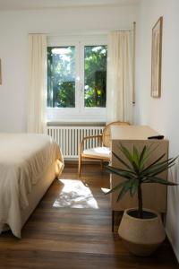 a bedroom with a bed and a potted plant at Maraini Deluxe Apartment - free parking in Massagno