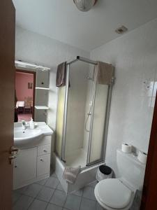 ein Badezimmer mit Dusche, Toilette und Waschbecken in der Unterkunft Aux Deux Clefs in Petersbach