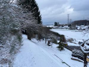 Am Waldrand om vinteren