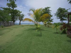 a park with palm trees and the ocean in the background at Ansells Thatch Walk Cottages in Negril