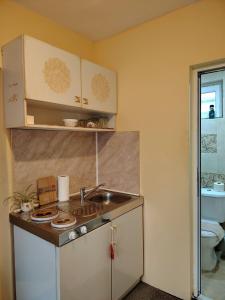 a small kitchen with a sink and a toilet at Guest House Emiliya in Ovchartsi