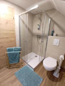 a bathroom with a shower and a toilet at La Grange de Pépé in Biltzheim +16 photos