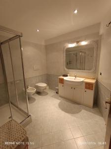 a bathroom with a shower and a sink and a toilet at La casa del Gianni in Piano