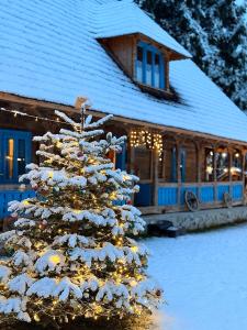 La Patru Daci trong mùa đông