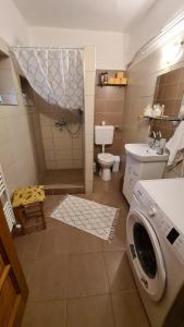 a bathroom with a toilet and a washing machine at Tisza-tavi Menedék in Poroszló +22 photos